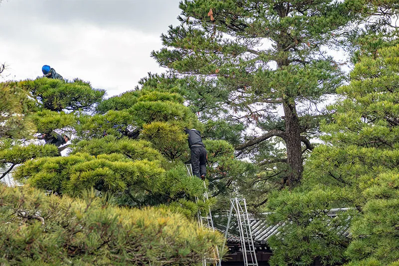 特にお問い合わせの多いご質問へ回答